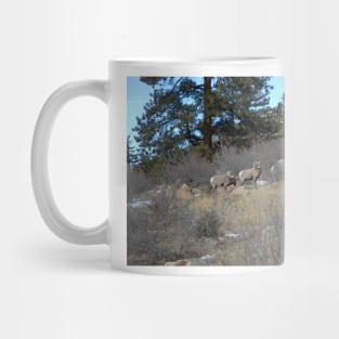 Bighorn Diners Mug